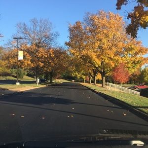 Meet your Posher, Umer